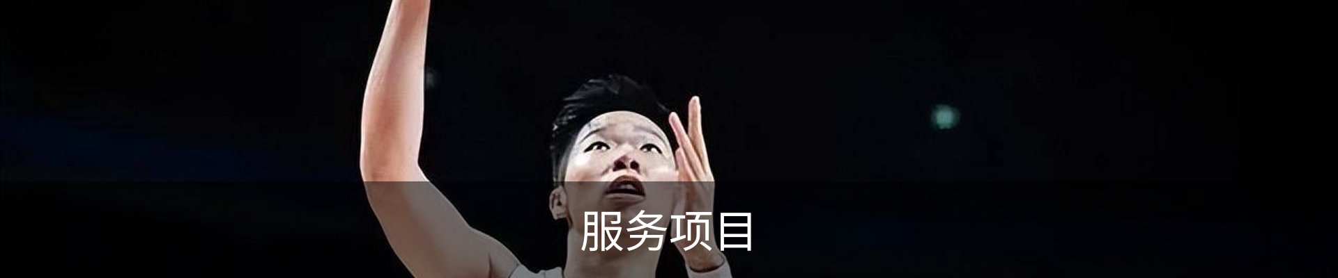 服务项目
